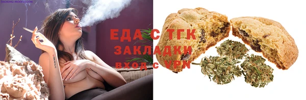 индика Аркадак