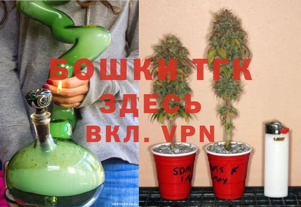индика Аркадак