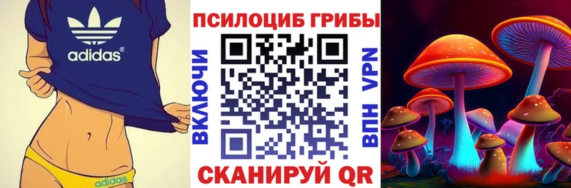 где продают наркотики  Удачный  Галлюциногенные грибы Magic Shrooms 